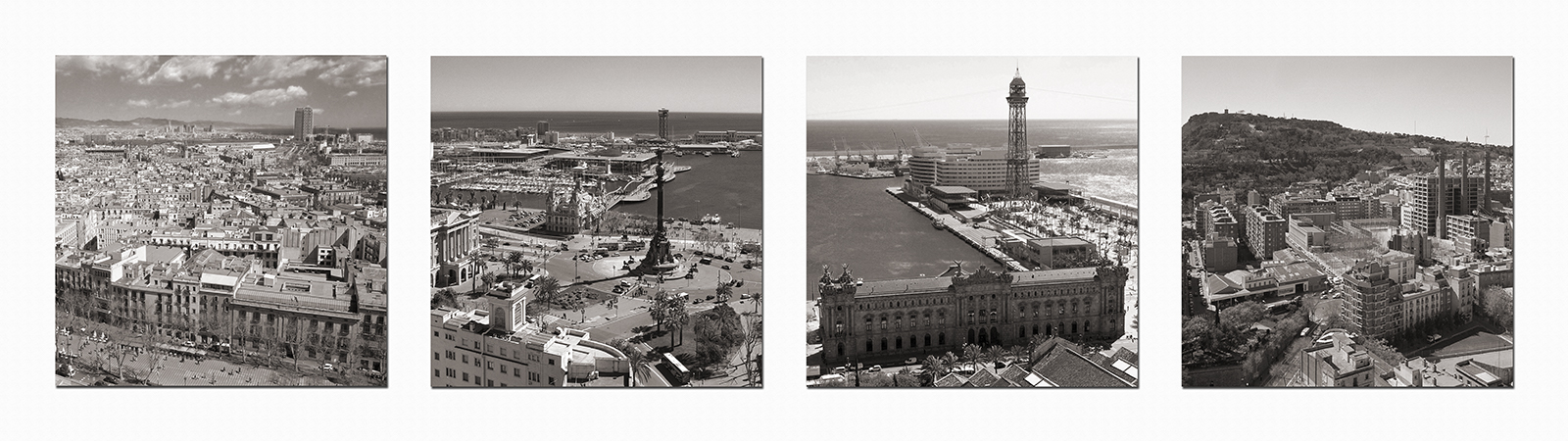 BCN Skyline-3 (107x30).jpg